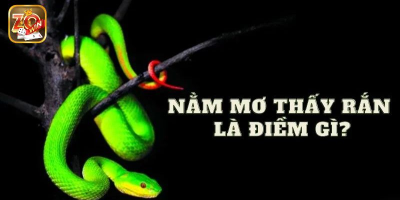 Ý nghĩa chi tiết của việc nằm mơ thấy rắn