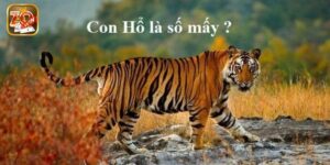 Mơ Thấy Hổ Là Điềm Gì? Con Số Nào May Mắn Với Chủ Mơ?