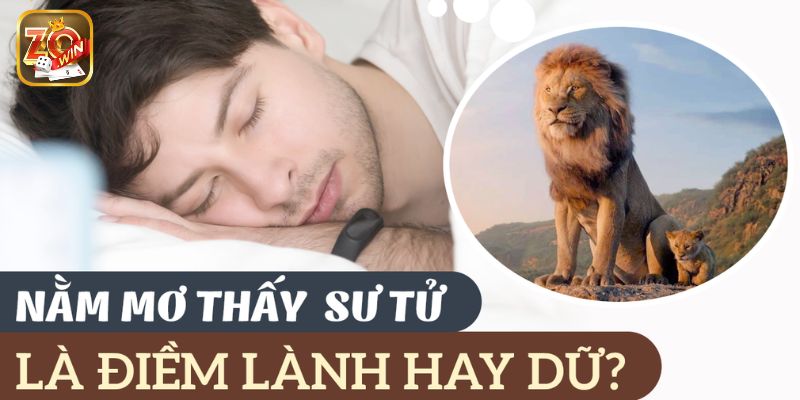 Ngủ mơ thấy hình ảnh sư tử con