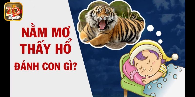 Con số nào may mắn khi nằm mơ thấy hổ?