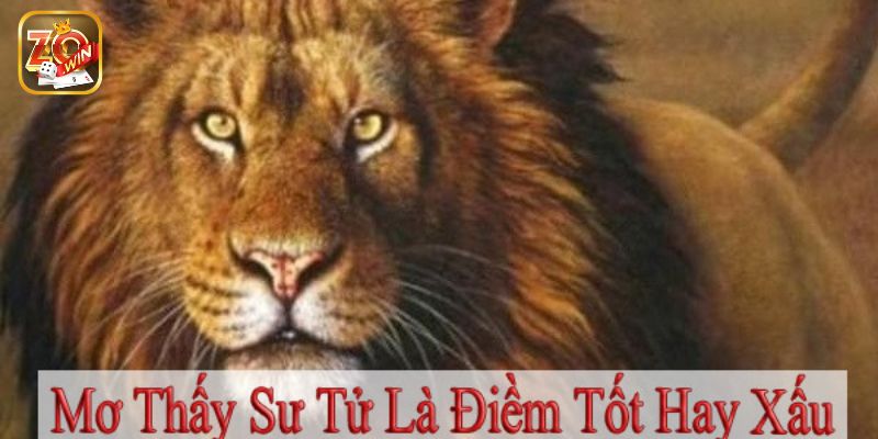 Mơ thấy sư tử là điềm lành hay giữ?