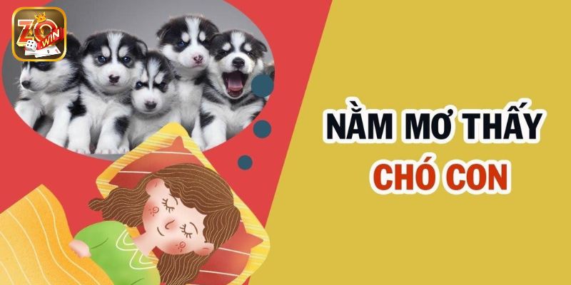 Mơ thấy chó con là điềm gì?