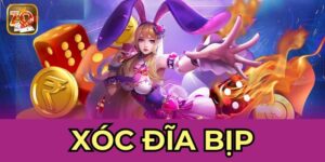 Xóc Đĩa Bịp - Dấu Hiệu Nhận Biết Giúp Đảm Bảo Công Bằng
